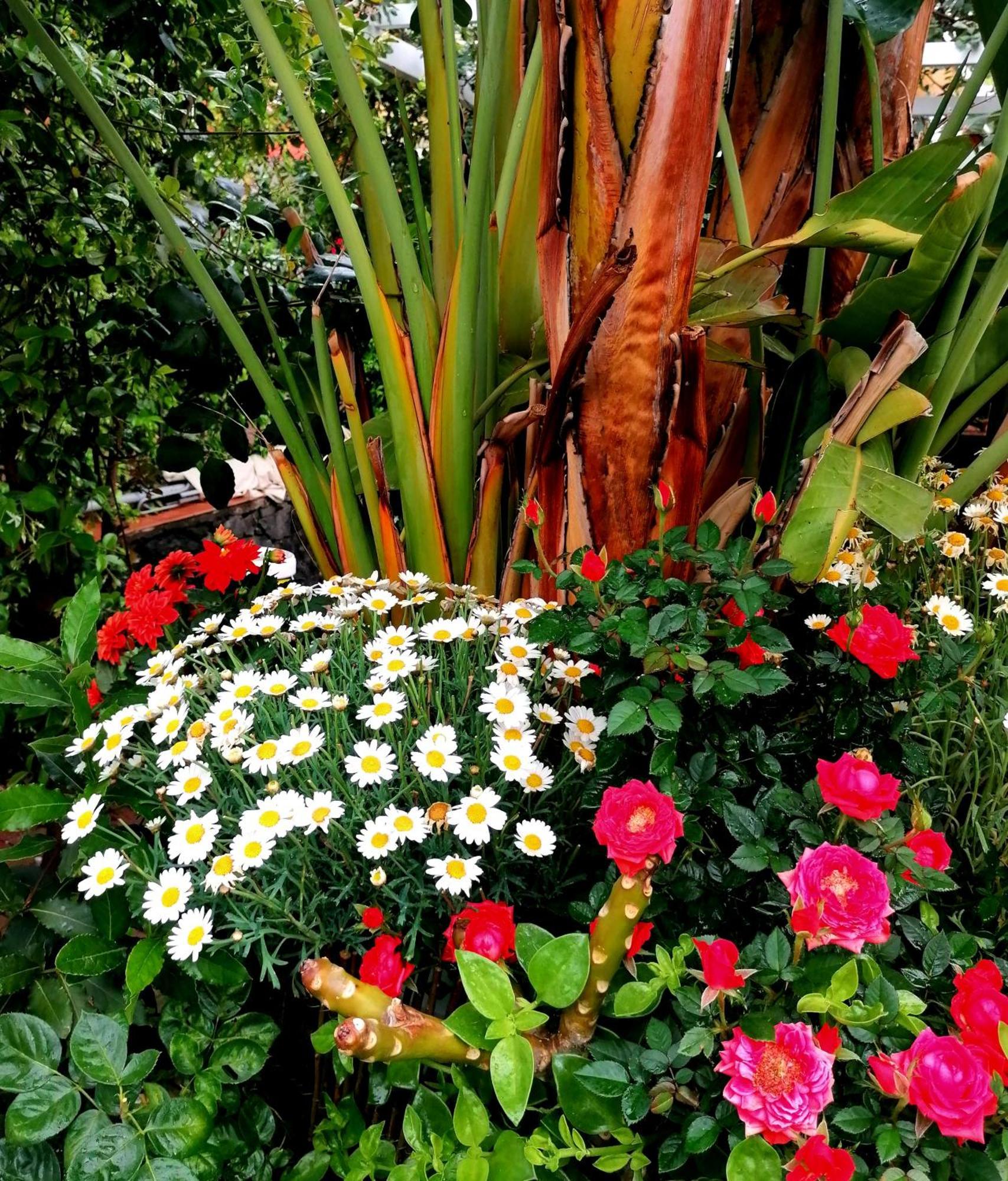 La Foresteria Garden Boutique B&B Catania Bagian luar foto