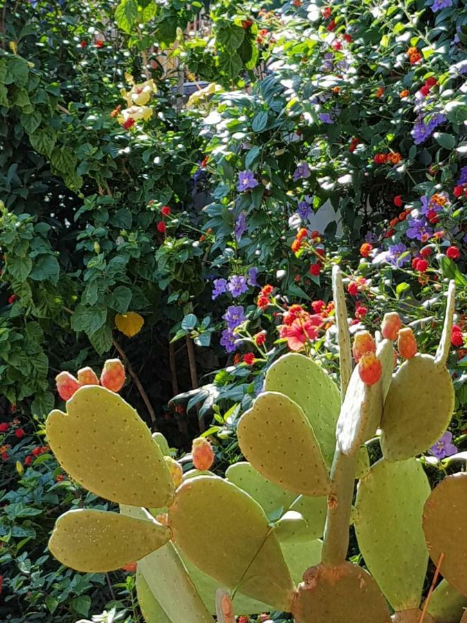 La Foresteria Garden Boutique B&B Catania Bagian luar foto